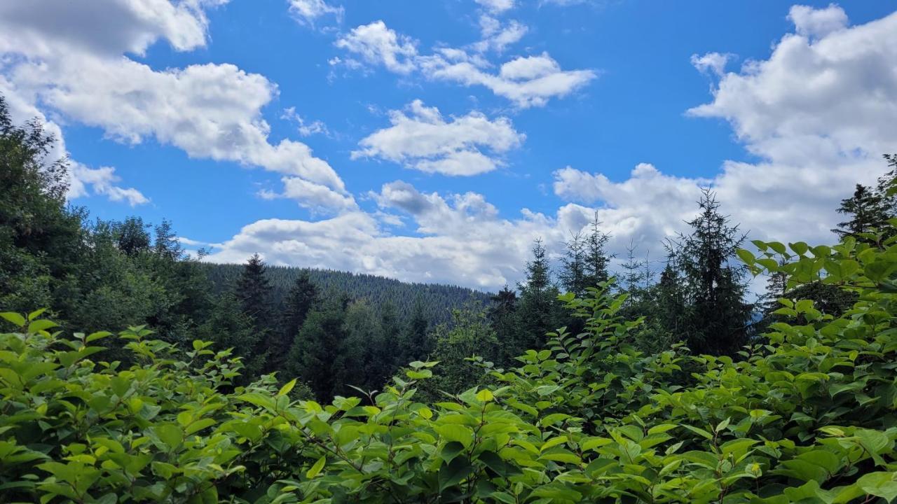 Wohlfuehl-Ferienwohnung Mit Tiefgarage Im Gruenen Oberhof  Buitenkant foto
