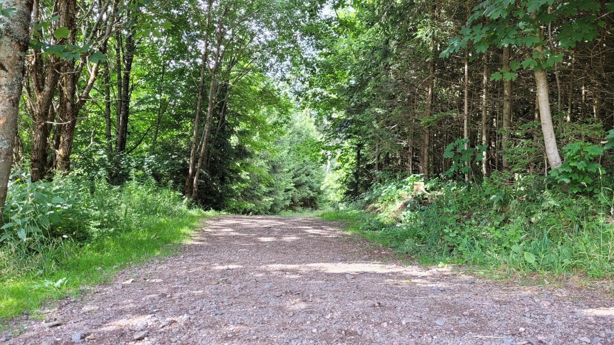 Wohlfuehl-Ferienwohnung Mit Tiefgarage Im Gruenen Oberhof  Buitenkant foto